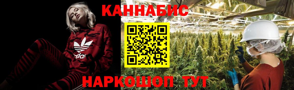 Шишки марихуана план Электросталь